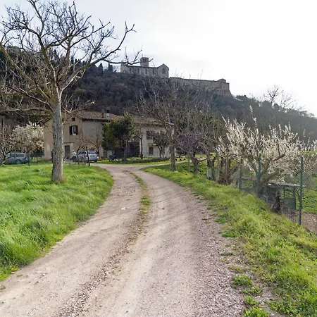 Casa Degli Zii *